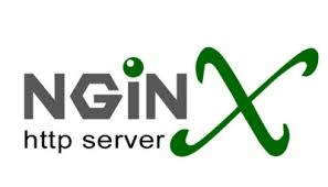 Nginx Server Logo - Web Design and Hosting Perth